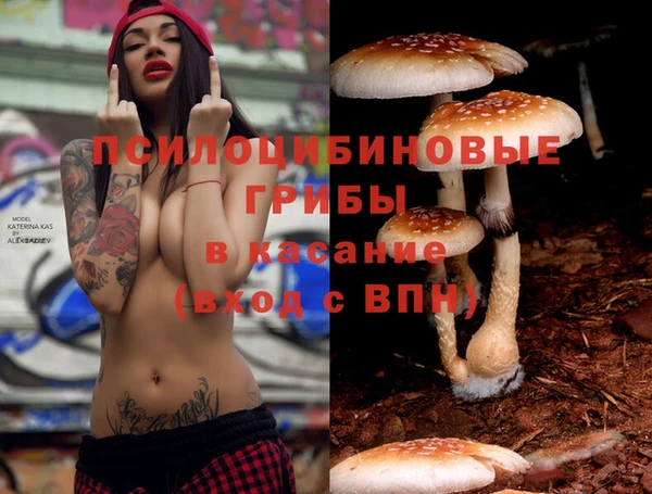 бутират Зеленодольск