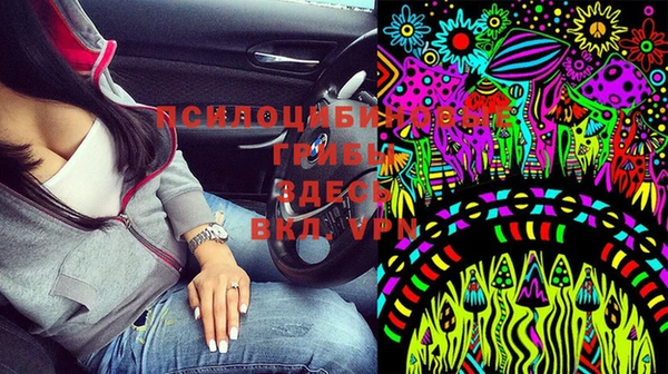 индика Зерноград