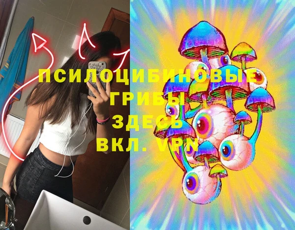 индика Зерноград